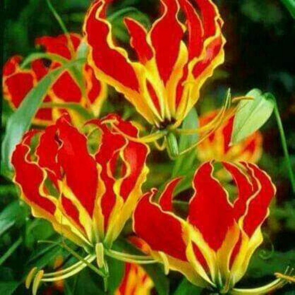 Meet your Posher, Ms T - Picture 2 of 3